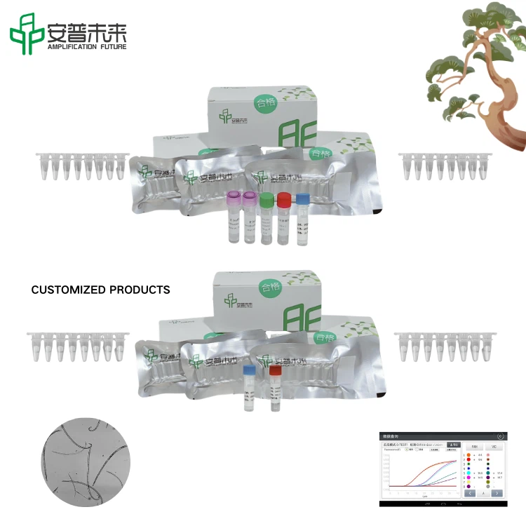 Kit de detección de fluorescencia de Mira bursaphelenchus xylophilus