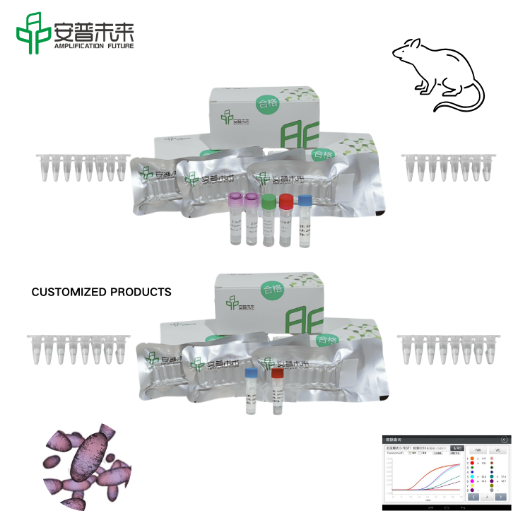 MIRA Yersinia Pestis Pla Gene Fluorescence Detection Kit Research Use Only
