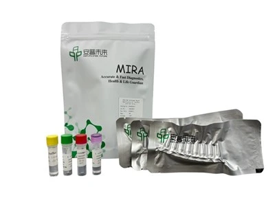 Mira Neisseria Gonorrhoeae Kit de detección de fluorescencia SOLO USO